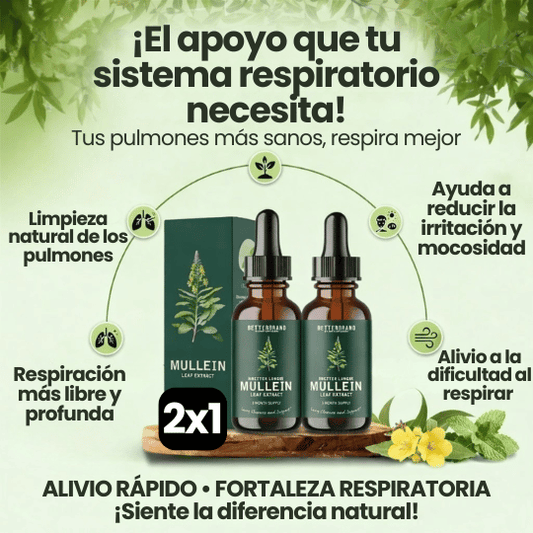 Gotas Naturales de hojas de Mullein (Gordolobo) para Apoyo a sistema Respiratorio ¡Bienestar pulmonar!