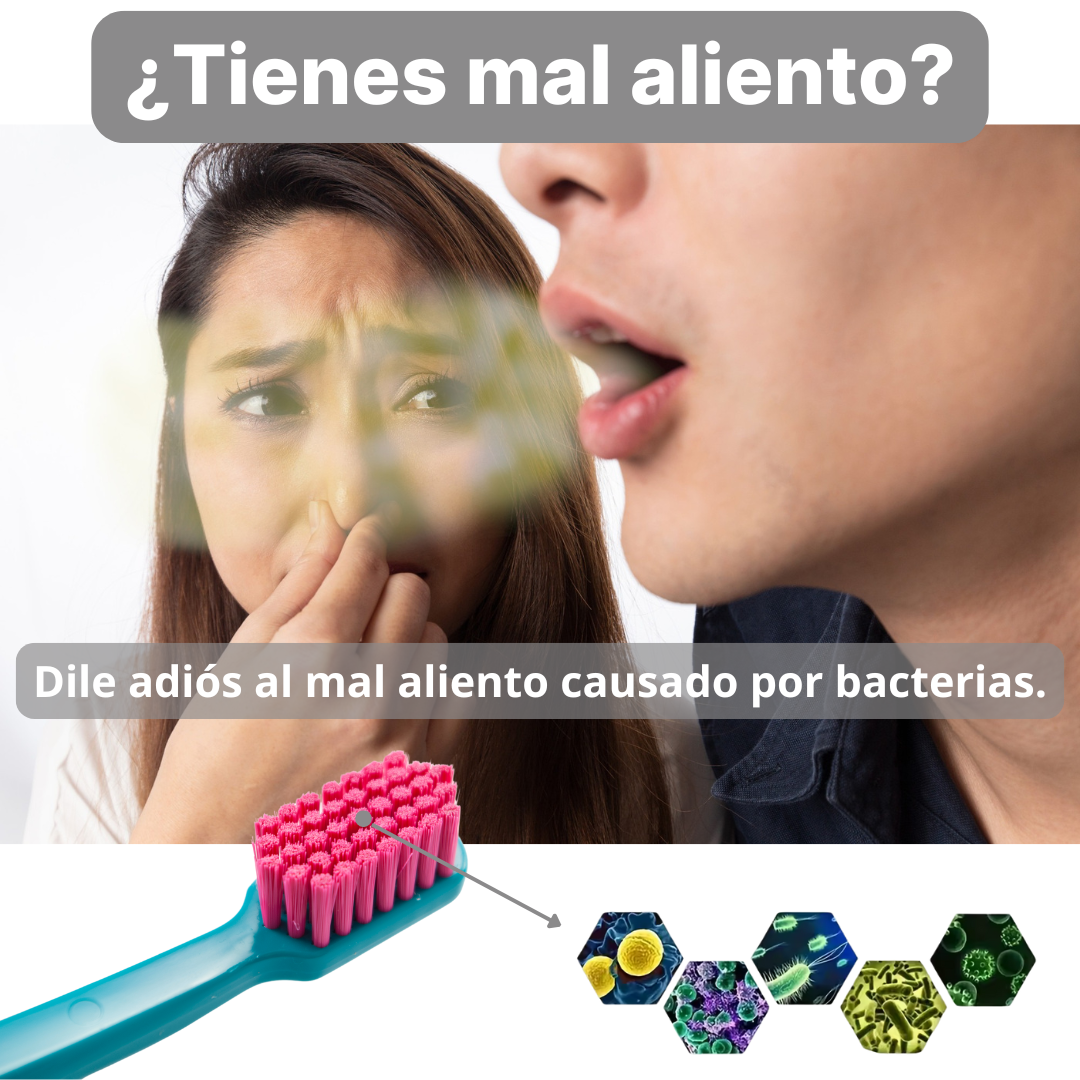 Esterilizador y organizador de Cepillos de Dientes 3 en 1 con Dispensador de Pasta de Dientes