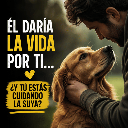 Suplemento Multivitaminas para Perros (8 Beneficios en 1)