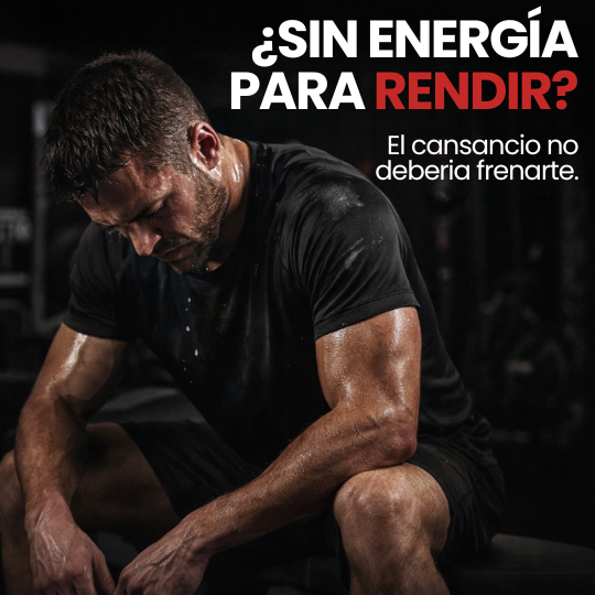 Suplemento Testosterone de Maca para Fuerza y Definición Muscular 60 cap