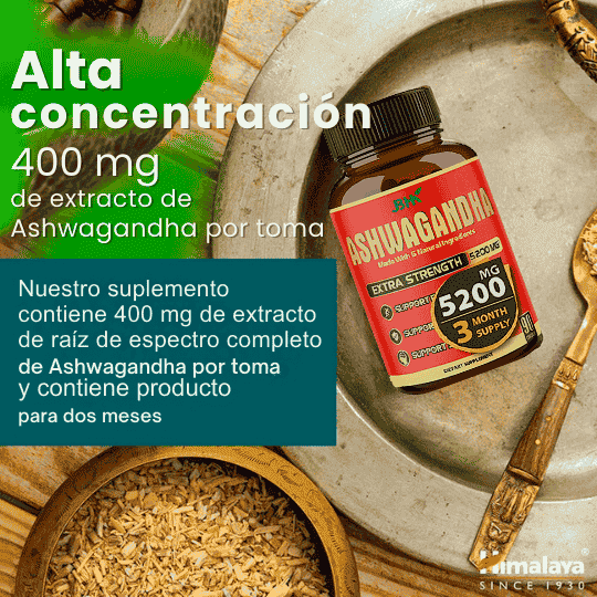 Ashwagandha - ¡El Suplemento más poderoso de todos! - 90 Cápsulas